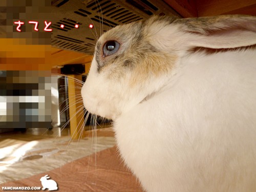 さてと・・・
