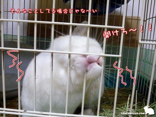 ヤバッ!開けろ!!