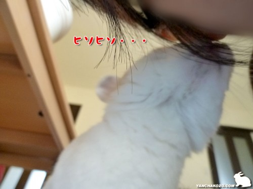 ヒソヒソ・・・