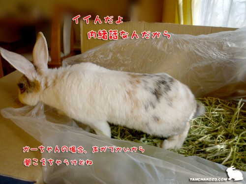 内緒話にならない