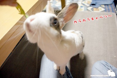 くれー
