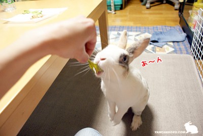 あーん