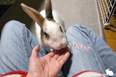 モグモグ中