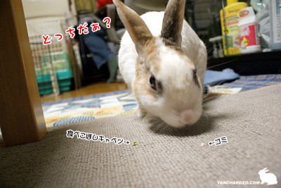 綺麗に