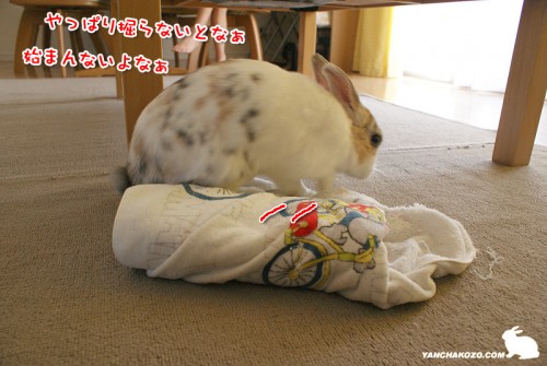 ホリホリはしなきゃ