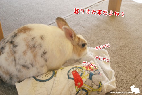 齧るのも忘れない