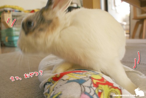おやつ?