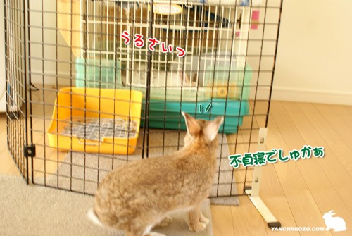 うるさいっ!