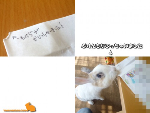 もけぢくんが齧った