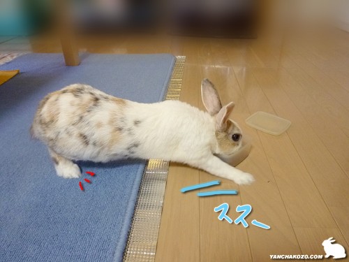 スス~