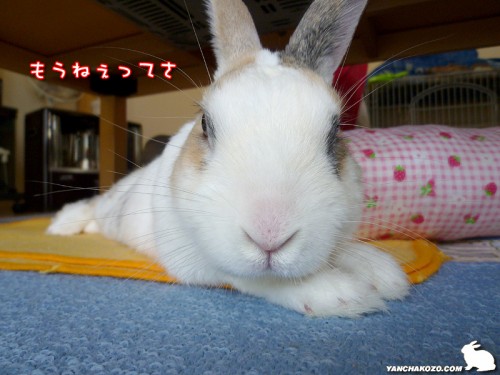 ねぇってさ