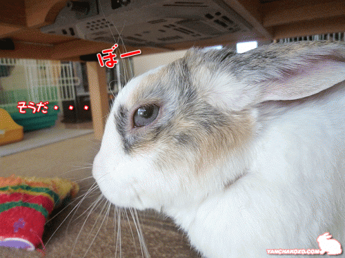 ぼーっとタイム