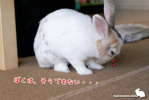 ぼくは、そうでもない