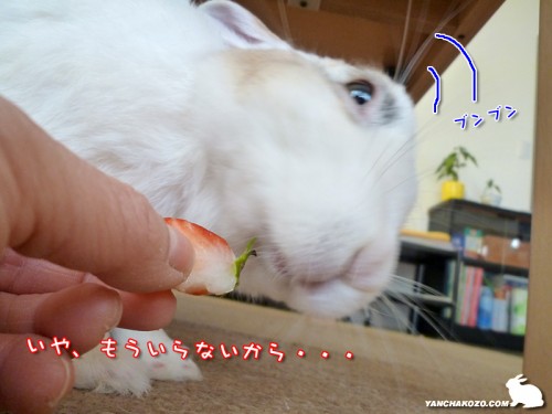 好きじゃねぇし