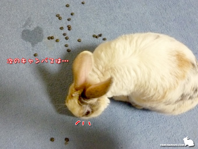 キャンバス探し