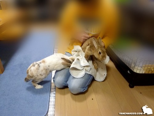 捻ってまでも