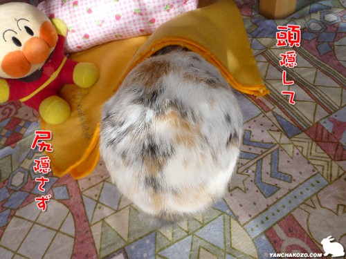 頭隠して