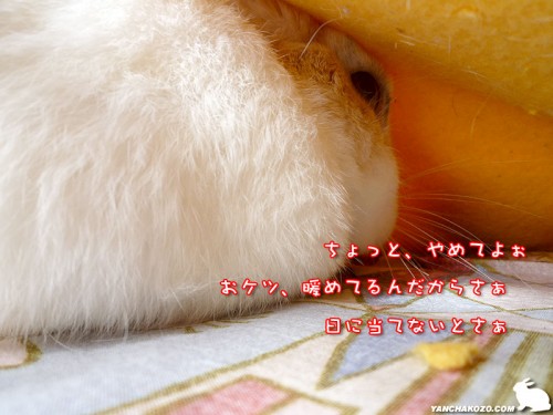 やめてよぉ