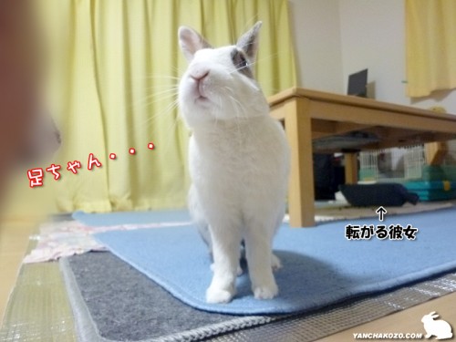 足ちゃん