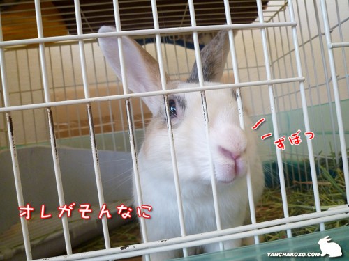 オレがそんなに