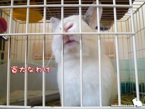 寛大なわけ