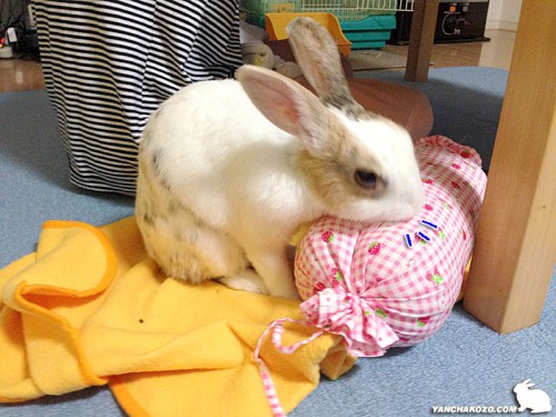 お返しペロペロ