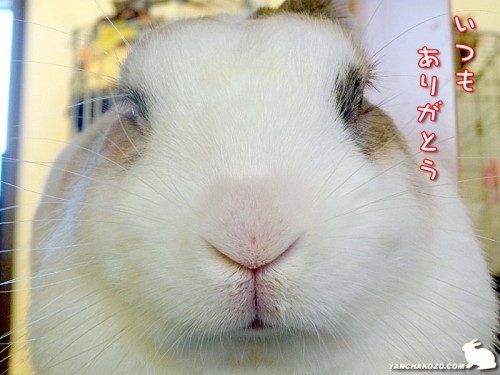 仏頂面ですが、、、感謝！