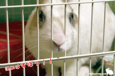 決めは・・・