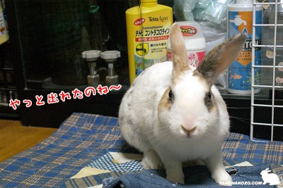 やっと