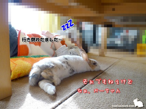 そぉでもねぇ
