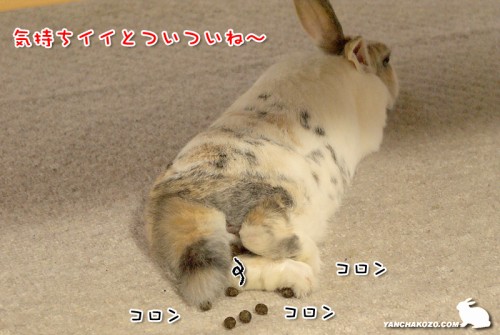 寝てると出ちゃう!