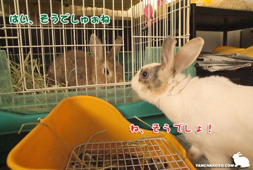 賛同する