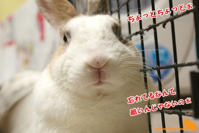 忘れるなんて・・・