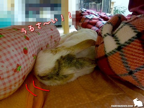 うるさいっ！