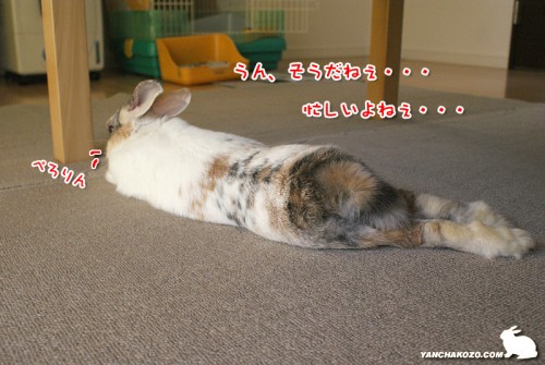 ぷりんも忙しい?