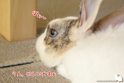 ぼーっとするのも・・・