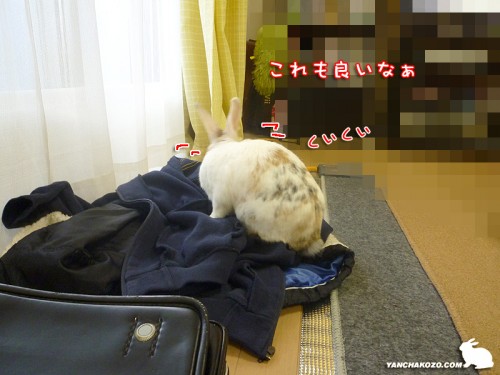 これも良いな