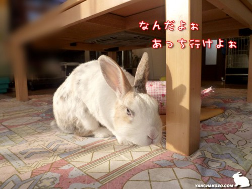 あっちいけよぉ