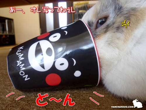 食われかけた?