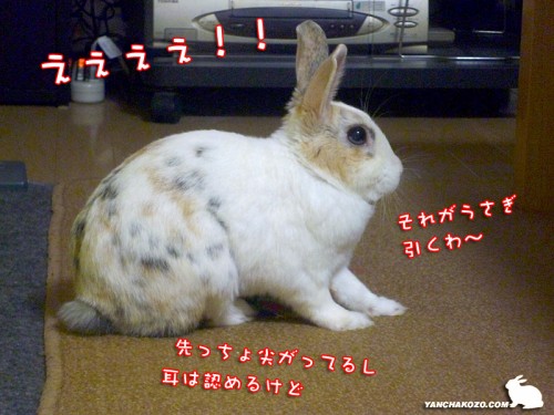 引くわ～