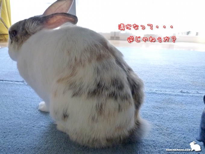溝ですか？