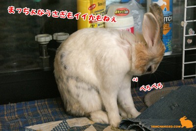 まっちょもイイかもね