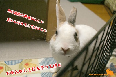 お手入れ終了