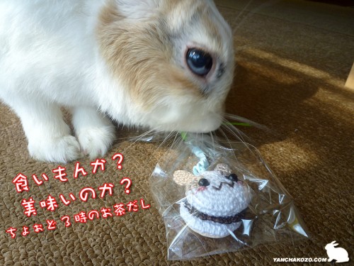 ぷりんマカロンクリーナー