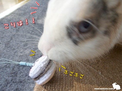 こりは！もけぢくん？