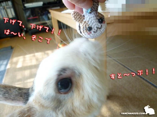 下げて下げて！