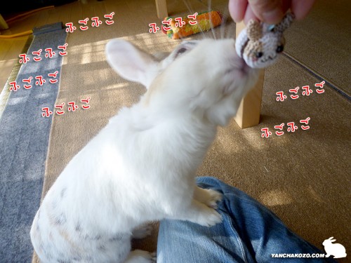 ふごふご中