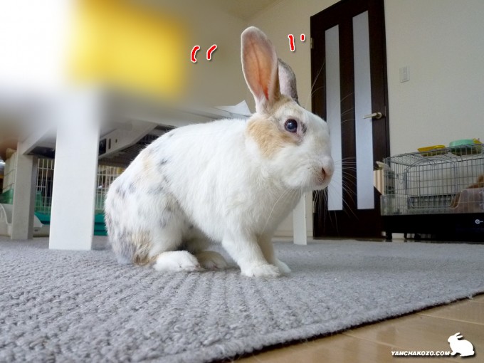 ピコピコ
