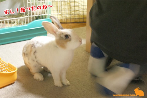 座ったのね~
