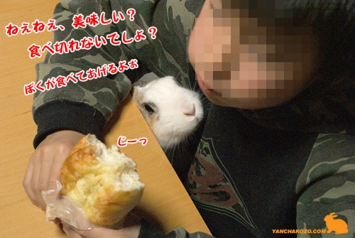 食べてあげる